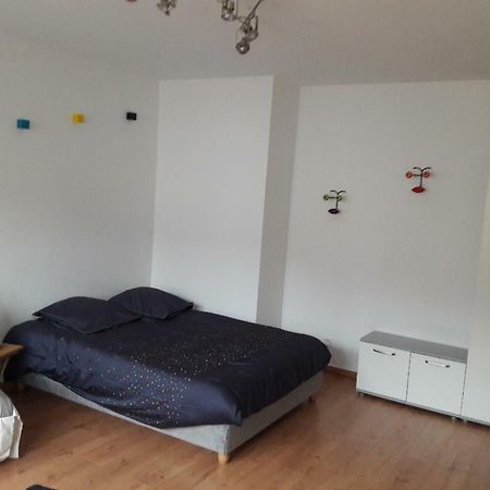 Mathilde'S Studio Apartment Strasbourg Ngoại thất bức ảnh