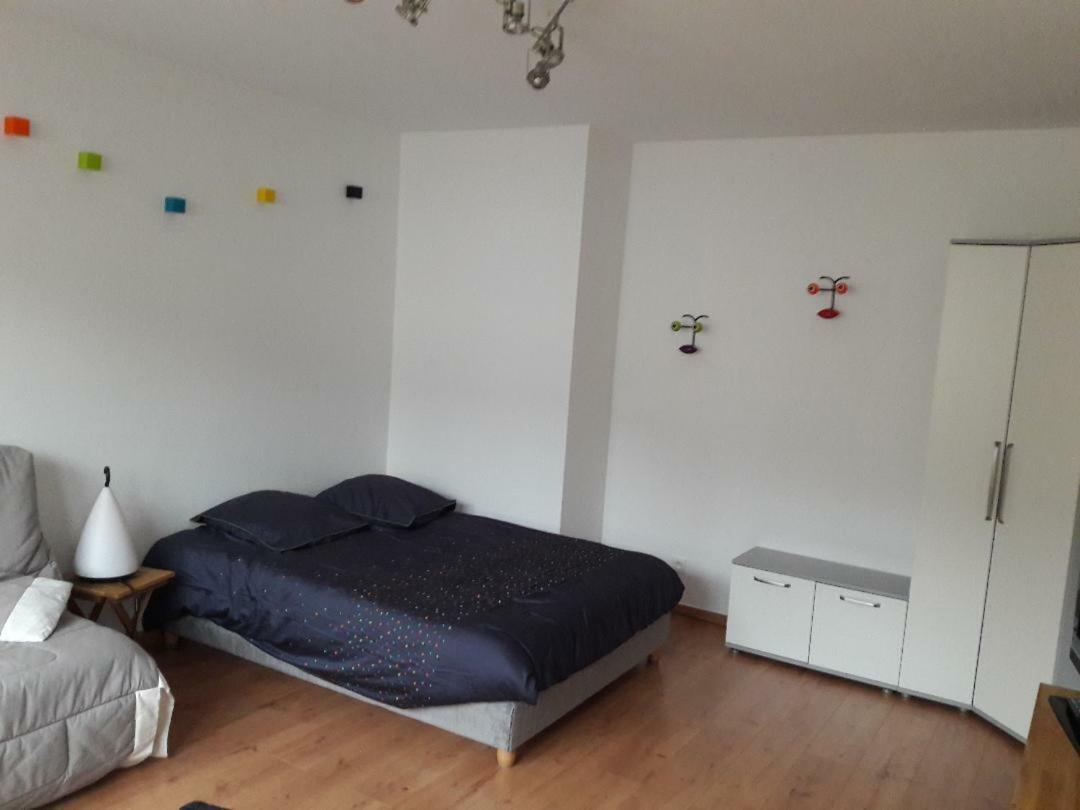Mathilde'S Studio Apartment Strasbourg Ngoại thất bức ảnh